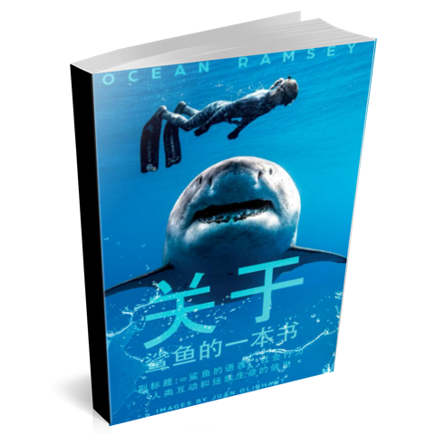 Chooserethink:Chinese Version