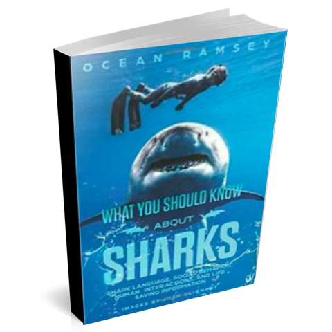 Chooserethink:Ocean